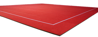 Ковер для черлидинга